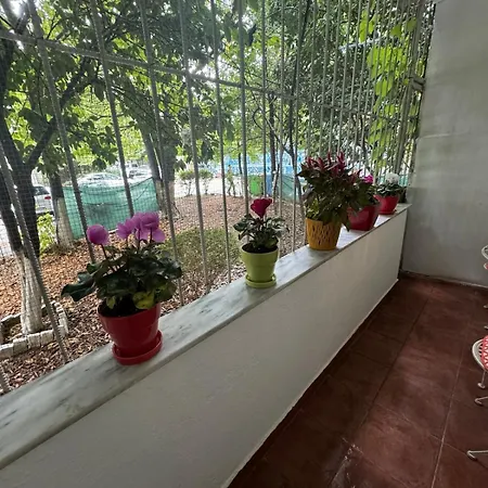 Garden Appartement *